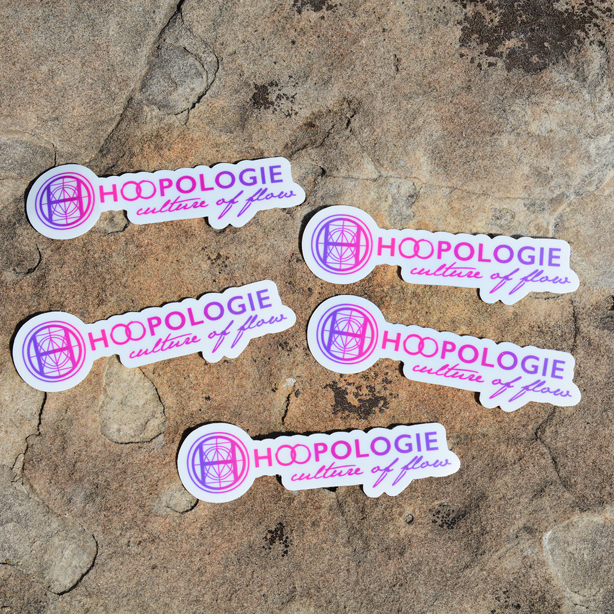 Hoopologie Colorshifting Logo Sticker